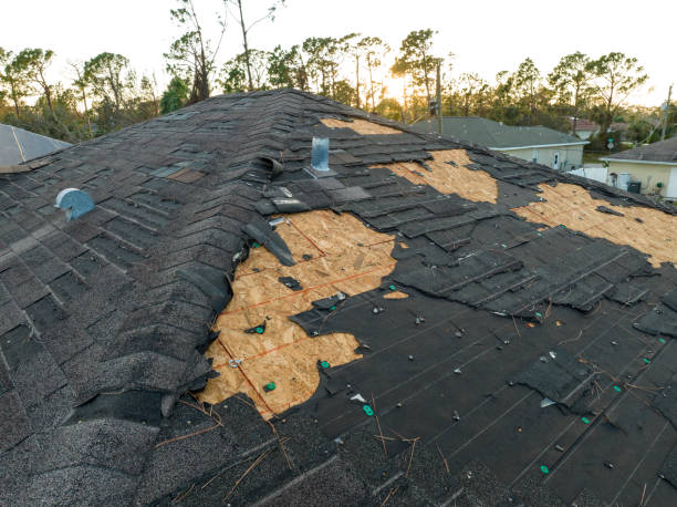 Best EPDM Roofing  in Newington, VA